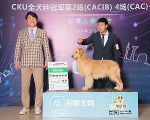 中國登錄冠軍—佩奇